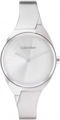 Käekell naistele Calvin Klein 1685216 цена и информация | Женские часы | kaup24.ee