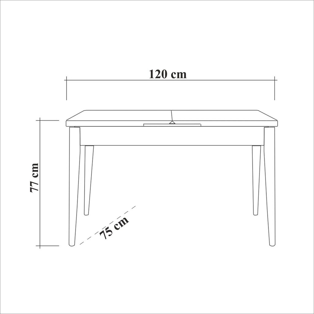 Söögilaud Asir, 120x77x75cm, beež hind ja info | Köögi- ja söögilauad | kaup24.ee