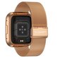 Garett GRC Style Gold Steel hind ja info | Nutikellad (smartwatch) | kaup24.ee