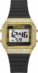 Käekell Guess GW0430L2 цена и информация | Женские часы | kaup24.ee