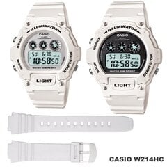 Ремешок для часов CASIO 10409325 10409325 цена и информация | Женские часы | kaup24.ee