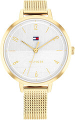 Käekell Tommy Hilfiger 1782579 цена и информация | Женские часы | kaup24.ee