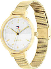 Käekell Tommy Hilfiger 1782579 цена и информация | Женские часы | kaup24.ee