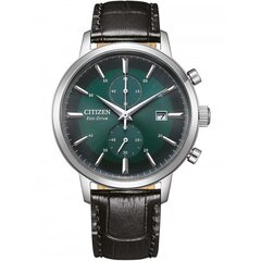 Citizen Eco Drive CA7069-24X CA7069-24X цена и информация | Женские часы | kaup24.ee