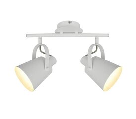 Easylink laelamp R5016005-2TU цена и информация | Потолочные светильники | kaup24.ee