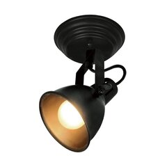 Easylink laelamp R50111102 цена и информация | Потолочные светильники | kaup24.ee