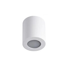 Lamp Kanlux Sani DSO-W 10 W цена и информация | Потолочные светильники | kaup24.ee