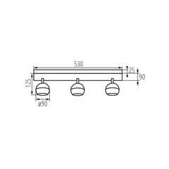 Lamp Kanlux Galoba EL-3I B цена и информация | Потолочные светильники | kaup24.ee