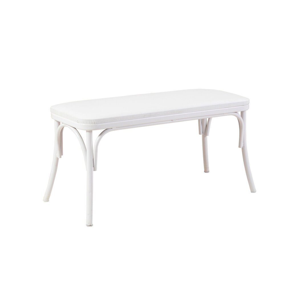 Pink Asir, 100x49x41cm, valge hind ja info | Kott-toolid, tumbad, järid | kaup24.ee