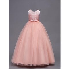 Pidulik roosa kleit tüdrukule цена и информация | Карнавальные костюмы | kaup24.ee