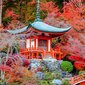 Ruumijaotur Jaapani aed hind ja info | Sirmid ja vaheseinad | kaup24.ee