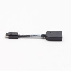 HP Mini Display Port TO Display Port adapter hind ja info | USB jagajad, adapterid | kaup24.ee