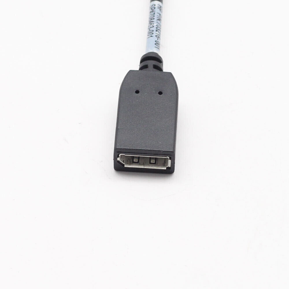 HP Mini Display Port TO Display Port adapter hind ja info | USB jagajad, adapterid | kaup24.ee