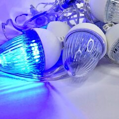 Новогодняя гирлянда Berimax Flash 10 LED, синяя цена и информация | Гирлянды | kaup24.ee