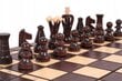 Male ja kabe komplekt Sunrise Chess & Games 2 in 1, 35 x 35 cm цена и информация | Lauamängud ja mõistatused | kaup24.ee