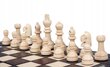 Puidust male Sunrise Chess & Game School Chess, 28 x 28 cm цена и информация | Lauamängud ja mõistatused | kaup24.ee
