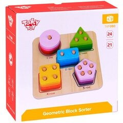 Puidust geomeetriline sorteerija, Tooky Toy цена и информация | Развивающие игрушки | kaup24.ee