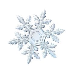 Jõulukaunistus LED-lumehelves aknale, 11 cm цена и информация | Декорации | kaup24.ee