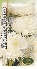    цена и информация | Зайцехвост яйцевидный | kaup24.ee