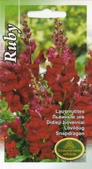 Львиный зев Ruby цена и информация | Семена цветов | kaup24.ee