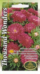 Pojengaster Thousand Wonders Red цена и информация | Семена цветов | kaup24.ee