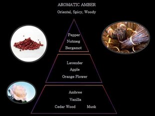 Tualettvesi Cigar Collection Aromatic Amber meestele, 75ml цена и информация | Мужские духи | kaup24.ee