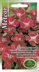 Suureõieline sametlill “Meteor” цена и информация | Семена цветов | kaup24.ee