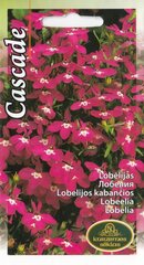 Lobelia Cascade hind ja info | Lilleseemned | kaup24.ee