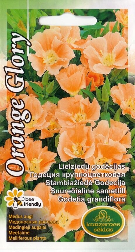 Suureõieline sametlill “Orange Glory” hind ja info | Lilleseemned | kaup24.ee