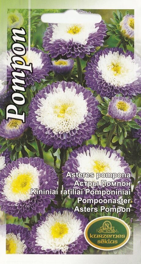 Pomponaster Blue & White цена и информация | Lilleseemned | kaup24.ee