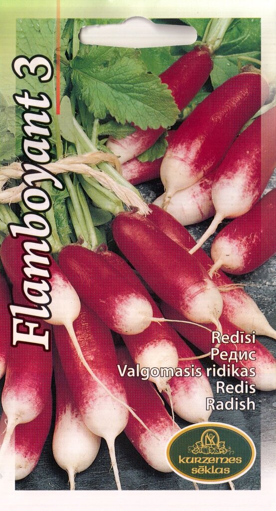 Redis Flamboyant 3 цена и информация | Köögivilja-, marjaseemned | kaup24.ee