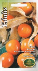 Peruu Füüsal 'Edulis' hind ja info | Maitsetaimede seemned | kaup24.ee