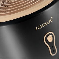 Õhukuivati Adolus Vivo 22W, 800ml цена и информация | Осушители воздуха, влагопоглотители | kaup24.ee