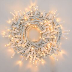 LED-tuled ProLED, 20 m, valge hind ja info | Jõulutuled | kaup24.ee