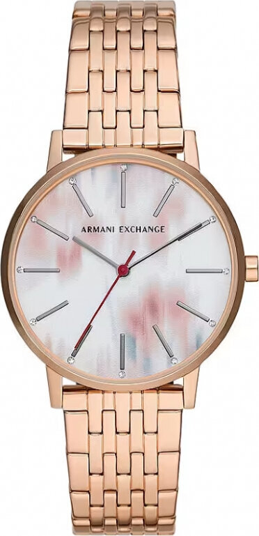 Käekell naistele Armani Exchange AX5589 hind ja info | Naiste käekellad | kaup24.ee