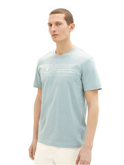 Мужская футболка Regular Fit 1035611.28129 цена и информация | Мужские футболки | kaup24.ee