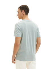 Мужская футболка Regular Fit 1035657.28129 цена и информация | Мужские футболки | kaup24.ee