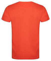 Мужская футболка MUSLAN Slim Fit TLM2307-E30E цена и информация | Мужские футболки | kaup24.ee