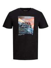 Мужская футболка JJTRESOR Regular Fit 12222044 Черный цена и информация | Мужские футболки | kaup24.ee
