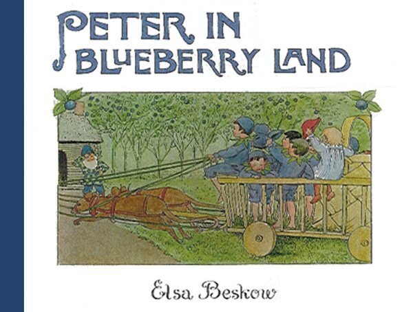 Peter in Blueberry Land, Mini edition цена и информация | Väikelaste raamatud | kaup24.ee