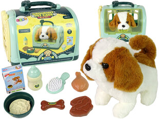 Koera hoolduskomplekt, roheline hind ja info | Tüdrukute mänguasjad | kaup24.ee