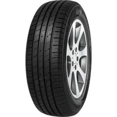 MINERVA ECOSPEED2 SUV 295/40R21 111Y XL цена и информация | Зимние шины | kaup24.ee