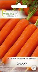 Морковь GALAXY (Галактика). Семена моркови 5 г цена и информация | Семена овощей, ягод | kaup24.ee