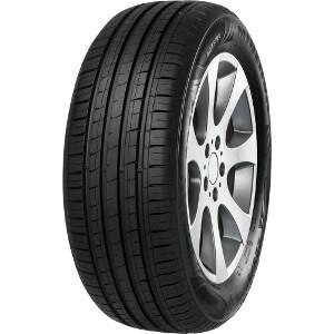 Minerva Radial f209 195/55R15 85V hind ja info | Suverehvid | kaup24.ee