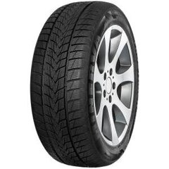 Minerva Frostrack uhp 225/40R18 92V цена и информация | Зимняя резина | kaup24.ee