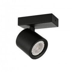 Потолочная лампа SPL-31959-4B-BK цена и информация | Потолочные светильники | kaup24.ee