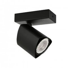 Потолочная лампа SPL-31970-4B-BK цена и информация | Потолочные светильники | kaup24.ee