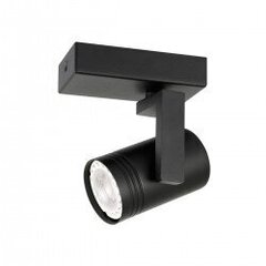 Потолочная лампа SPL-31993-4B-BK цена и информация | Потолочные светильники | kaup24.ee