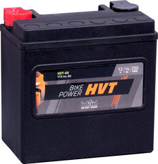 Аккумулятор для мотоциклов intAct Battery-Power HVT (YTX14L-BS) 12V 14AH (c20) 250A (EN) цена и информация | Мото аккумуляторы | kaup24.ee