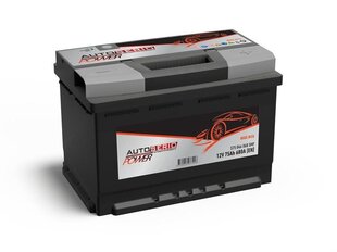 Aku Autoserio 550027042, 12 V цена и информация | Батареи | kaup24.ee